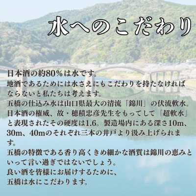 五橋　飲み比べ4種セット　300ml×6本【酒井酒造】