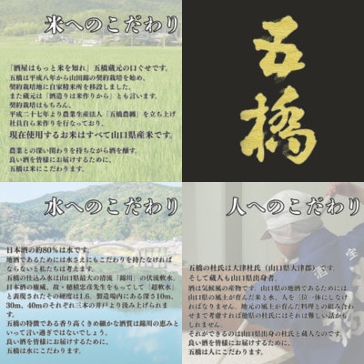 五橋　飲み比べセット 720ml×5本 シークレット1本【酒井酒造】