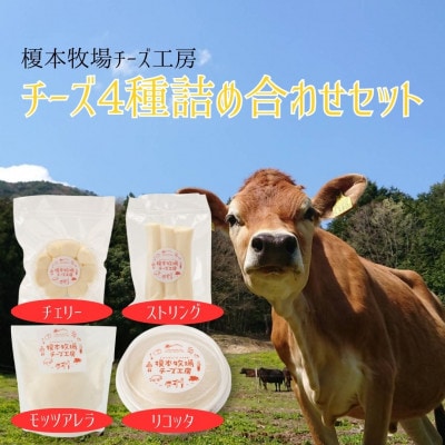 榎本牧場チーズ工房 チーズ4種詰め合わせセット(4種:計500g)