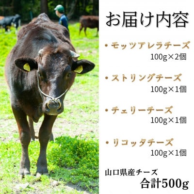榎本牧場チーズ工房 チーズ4種詰め合わせセット(4種:計500g)