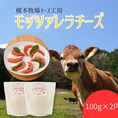 モッツァレラチーズ 200g (100g×2)