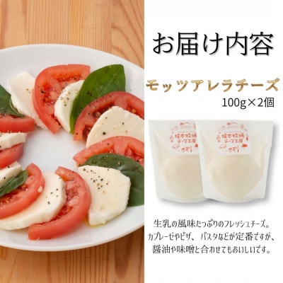 モッツァレラチーズ 200g (100g×2)