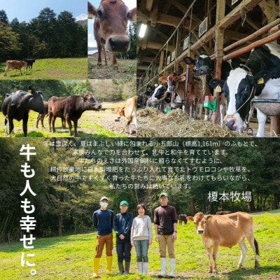 モッツァレラチーズ 200g (100g×2)