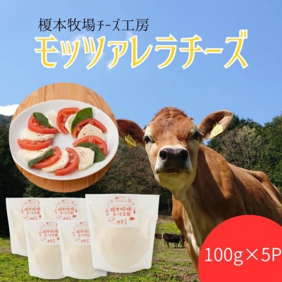 モッツァレラチーズ 500g (100g×5)
