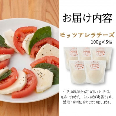 モッツァレラチーズ 500g (100g×5)