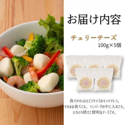 チェリーチーズ 500g (100g×5)