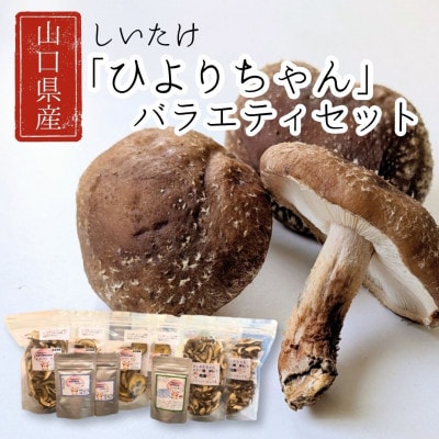 山口県産しいたけ「ひよりちゃん」バラエティセット