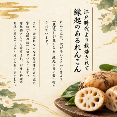 由美屋特選! 岩国産 れんこん2kg 土付き