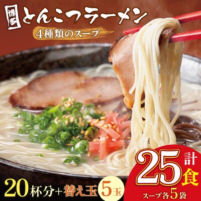 博多とんこつラーメン20杯分と替え玉5玉の計25食分