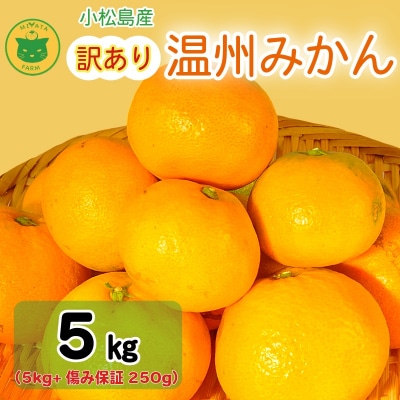 【2025年11月順次発送】 訳あり みかん 温州みかん5kg(5kg+傷み保証250g)