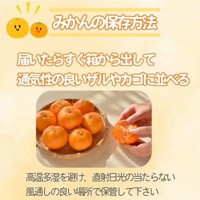 【2025年11月順次発送】 訳あり みかん 温州みかん5kg(5kg+傷み保証250g)