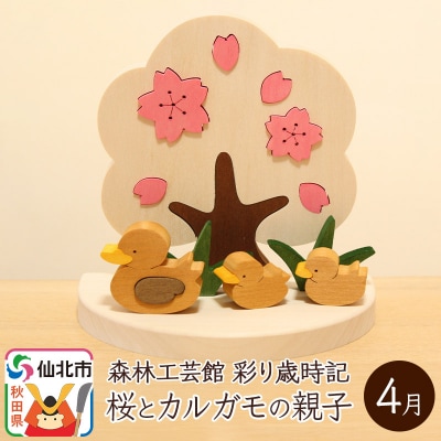 彩り歳時記4月 桜とカルガモの親子＜あきた芸術村 森林工芸館＞|02_wrb-031601