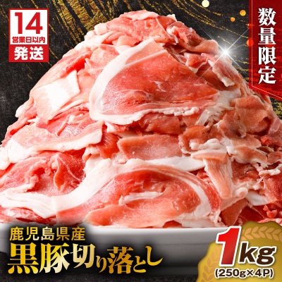 【 期間限定 生活応援 】【14営業日以内に発送】 【数量限定】鹿児島県産 黒豚切り落とし 1kg