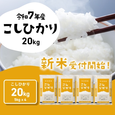 令和7年産 茨城県産 新米 コシヒカリ 精米 20kg (5kg×4袋)