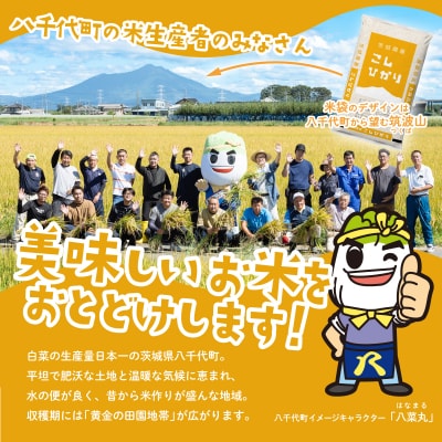 令和7年産 茨城県産 新米 コシヒカリ 精米 20kg (5kg×4袋)