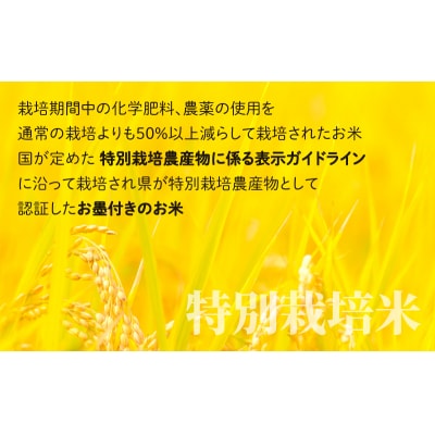 地球にやさしいパックご飯 20食入り【白米】 「特別栽培米」-地球にやさしいお米-