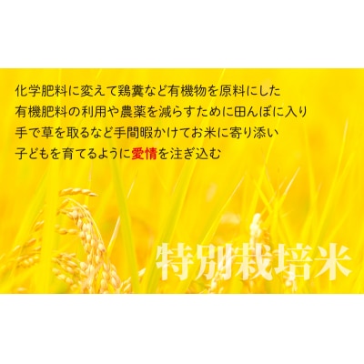 地球にやさしいパックご飯 30食入り【白米】「特別栽培米」-地球にやさしいお米-