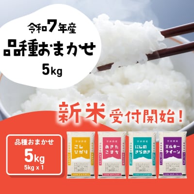 令和7年産 茨城県産 新米 おまかせ 精米 5kg (5kg×1袋)