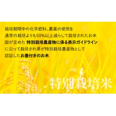 地球にやさしいパックご飯 20食入り【玄米】　減農薬・減化学肥料 「特別栽培米」-地球にやさしいお米