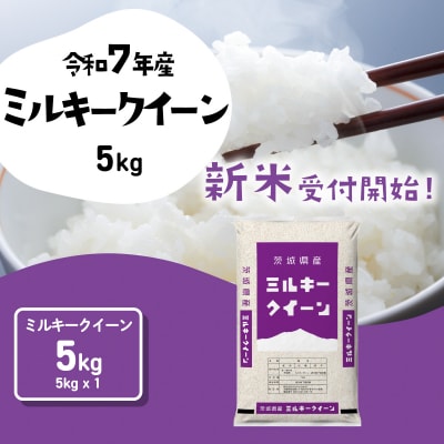 令和7年産 茨城県産 新米 ミルキークイーン 精米 5kg (5kg×1袋)