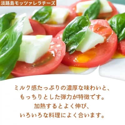 淡路島モッツァレラチーズとヨーグルト、焼プリンのセット