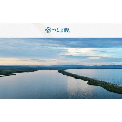 【純国産ウナギ】つしま鰻蒲焼3尾入(450g)