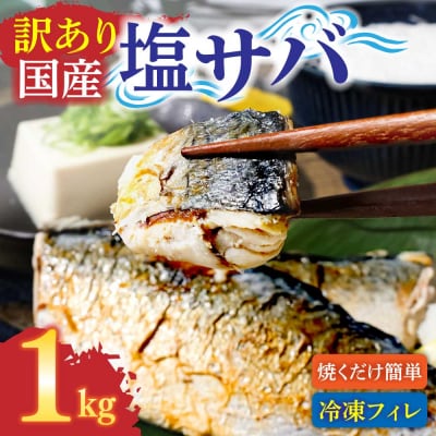 訳あり 国産 塩サバ 切り身 約1kg(約6枚)味付き・冷凍【R01424】