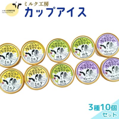 ニセコ高橋牧場ミルク工房　カップアイス3種10個入りセット【0311401】