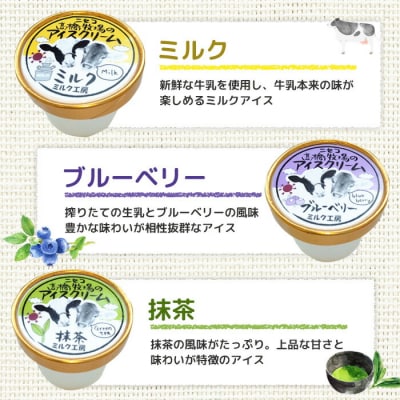 ニセコ高橋牧場ミルク工房　カップアイス3種10個入りセット【0311401】