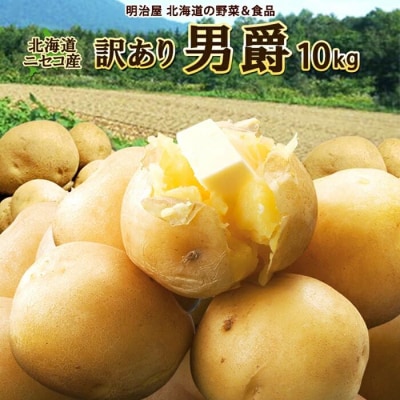 〈早期受付・数量限定〉北海道ニセコ町 訳ありじゃがいも男爵10kg【2026年産】【3201002】