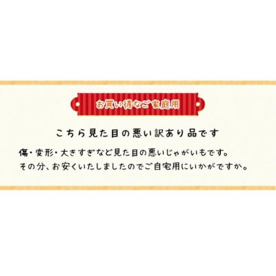 〈早期受付・数量限定〉北海道ニセコ町 訳ありじゃがいも男爵10kg【2026年産】【3201002】