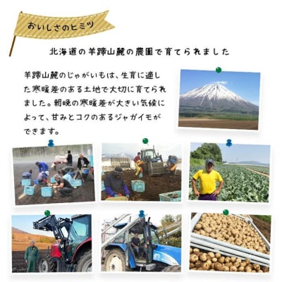 〈早期受付・数量限定〉北海道ニセコ町 訳ありじゃがいも男爵10kg【2026年産】【3201002】