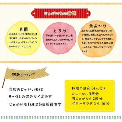 〈早期受付・数量限定〉北海道ニセコ町 訳ありじゃがいも男爵10kg【2026年産】【3201002】