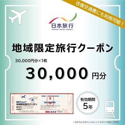 北海道ニセコ町　日本旅行　地域限定旅行クーポン30,000円分【46002】