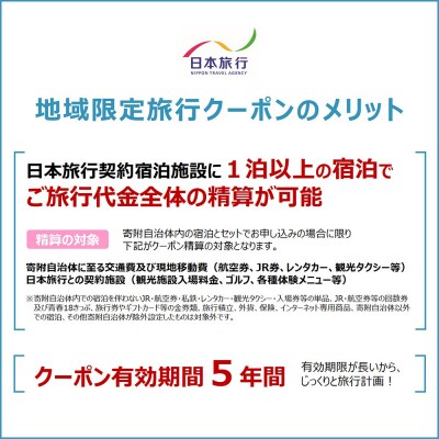 北海道ニセコ町　日本旅行　地域限定旅行クーポン30,000円分【46002】