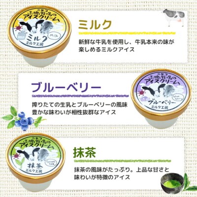 ニセコ高橋牧場ミルク工房　カップアイス3種20個入りセット【0311501】