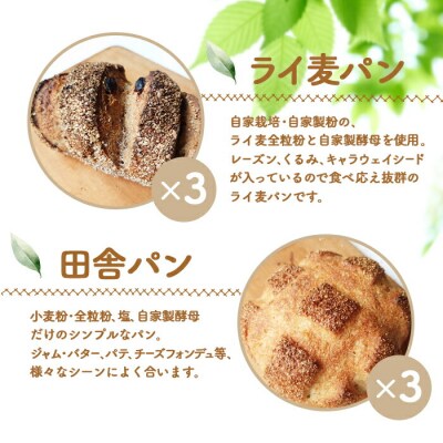 【ニセコ町】奥土農場のお楽しみパン5種詰め合わせセット×各3個