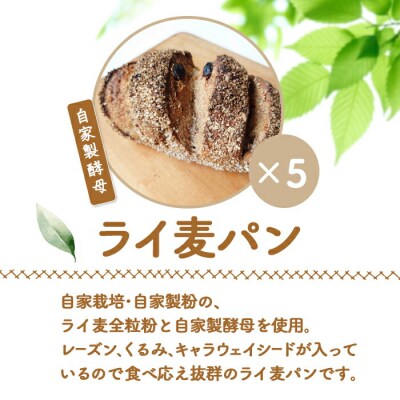 【ニセコ町】奥土農場のライ麦パン 5個セット(自家製酵母)【42007】