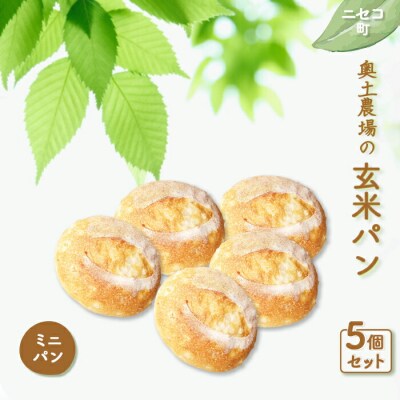 【ニセコ町】奥土農場の玄米パン(ミニパン)5個セット【42008】