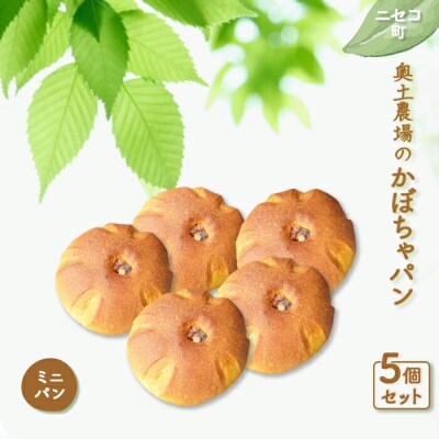 【ニセコ町】奥土農場のかぼちゃパン(ミニパン) 5個セット【42009】