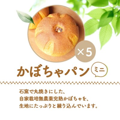【ニセコ町】奥土農場のかぼちゃパン(ミニパン) 5個セット【42009】