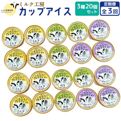 【定期便:全3回】ニセコ高橋牧場ミルク工房カップアイス3種20個セット【03130】