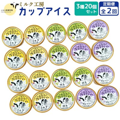 【定期便:全2回】ニセコ高橋牧場ミルク工房カップアイス3種20個セット【03129】