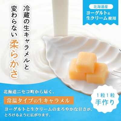 ニセコヨーグルト生キャラメル　2箱セット【09152】