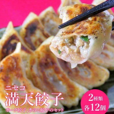 ニセコ満天餃子　ポーク餃子　きのこ餃子のセット【09138】