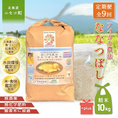 《令和8年産米》【9回定期便】ななつぼし【胚芽米仕様精米】10kg(1kg×10袋)【31078】