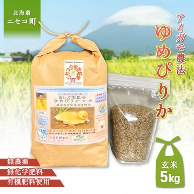 《令和7年産米》合鴨農法ゆめぴりか 【玄米】5kg(1kg×5袋) ニセコ町【31079】
