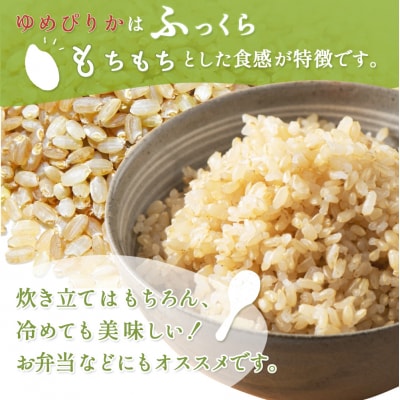 《数量限定受付!令和7年産米》合鴨農法ゆめぴりか 【玄米】10kg(1kg×10袋)【31083】