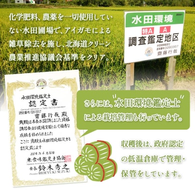 《数量限定受付!令和7年産米》合鴨農法ゆめぴりか 【玄米】10kg(1kg×10袋)【31083】