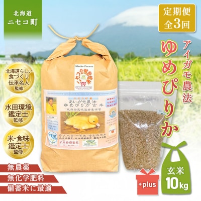 《令和8年産米》【3回定期便】合鴨農法ゆめぴりか【玄米】10kg(1kg×10袋)【3112305】